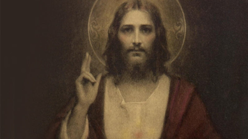 Month of the Sacred Heart: We Must Go Through the Mother to Know Her Son