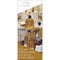 Why The Latin Mass? (Spanish)