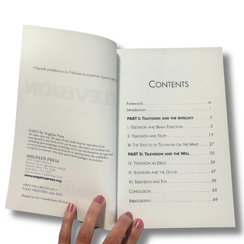 Television: The Soul At Risk - Ebook