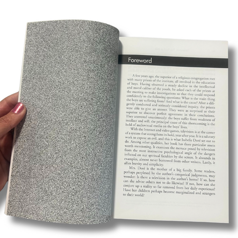 Television: The Soul At Risk - Ebook