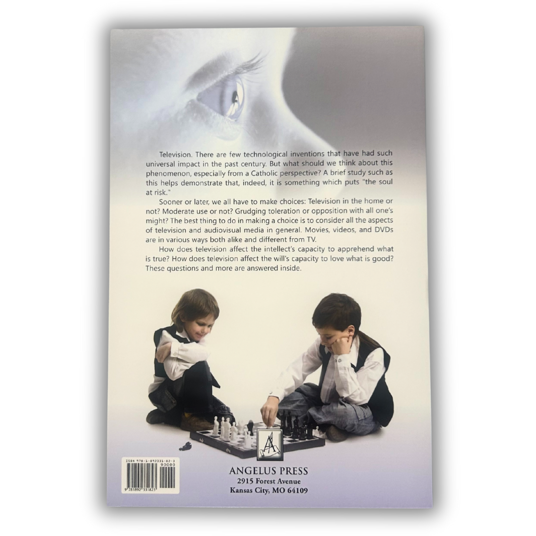 Television: The Soul At Risk - Ebook