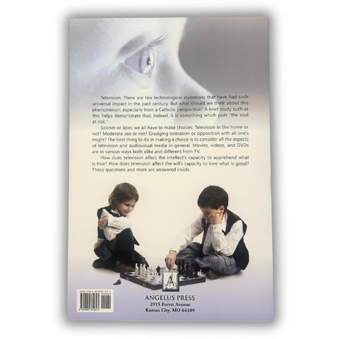 Television: The Soul At Risk - Ebook