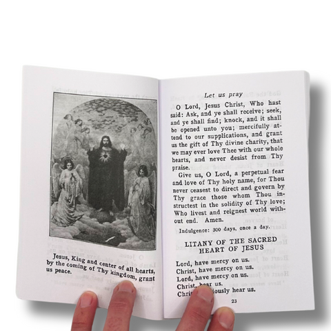 All Hail Christ the King