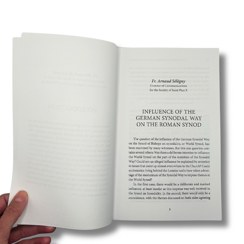 Synodality: An Attack on Papal Authority