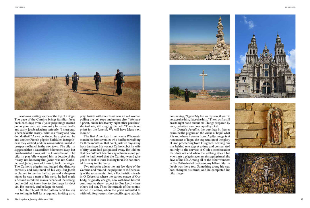 Angelus January February 2026  Pilgrimage