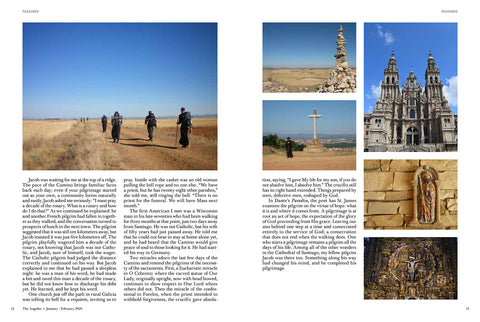 Angelus January February 2026  Pilgrimage