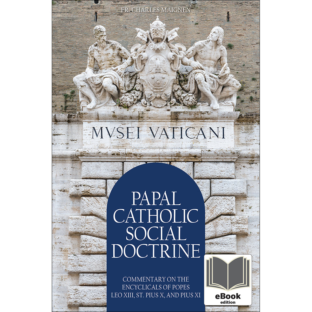 Papal Catholic Social Doctrine eBook