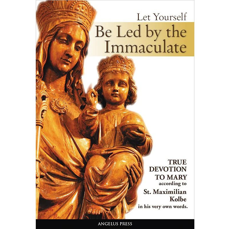Let Yourself Be Led By The Immaculate