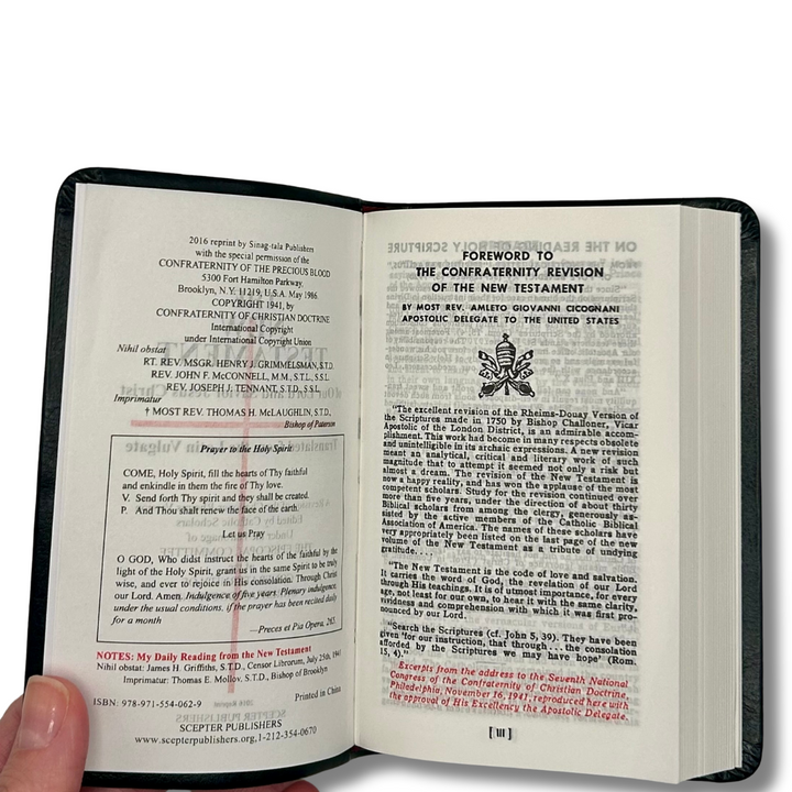 The New Testament (Confraternity)