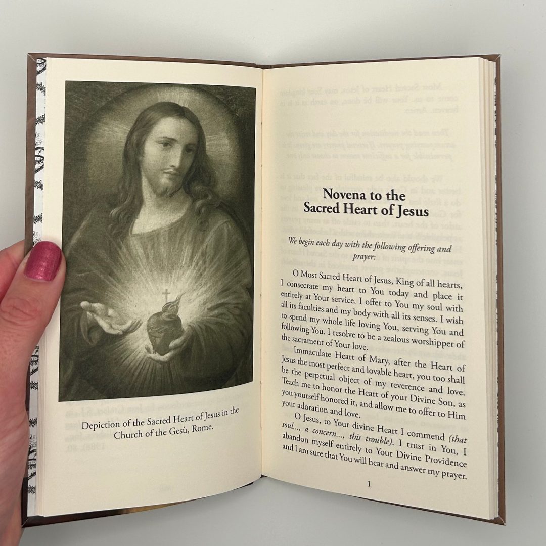 Heart of Jesus Families Novena