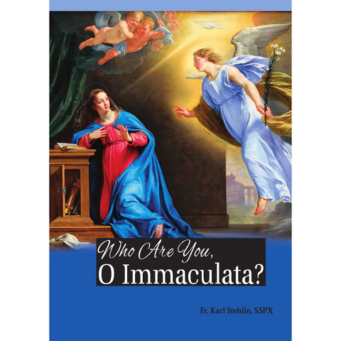 Who Are You O Immaculata?