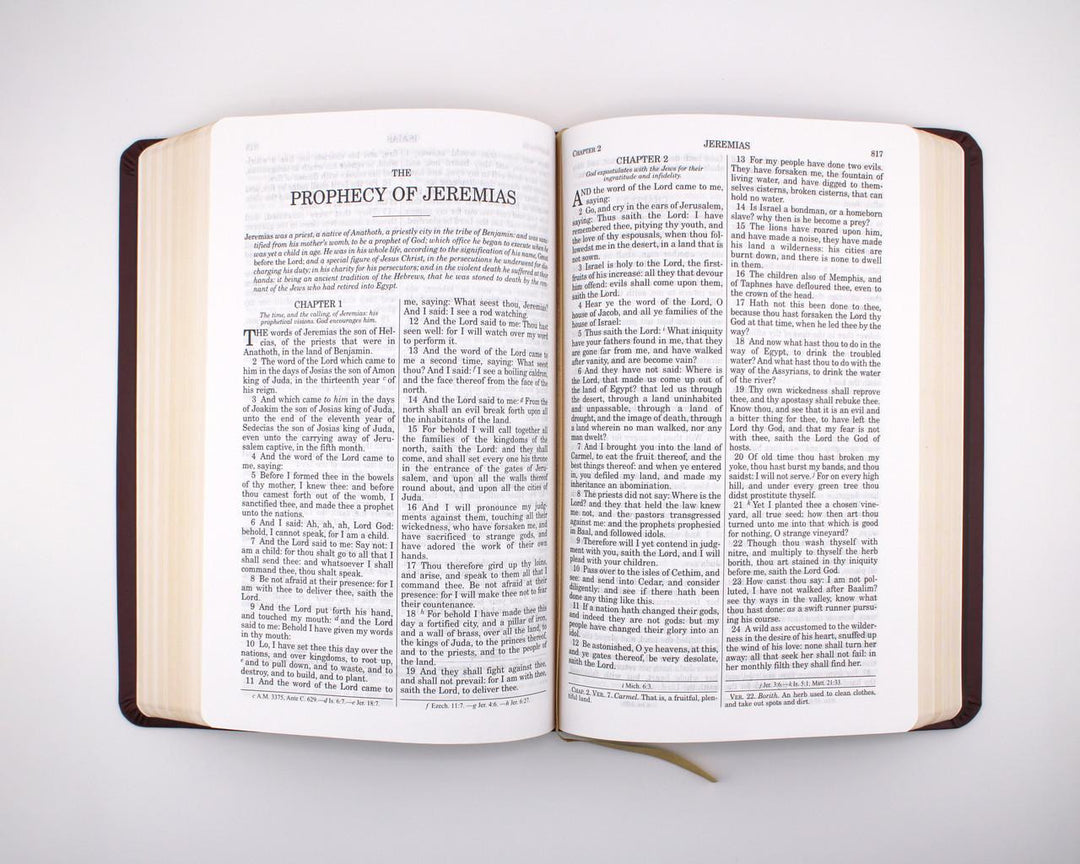 Douay-Rheims Bible: Burgundy