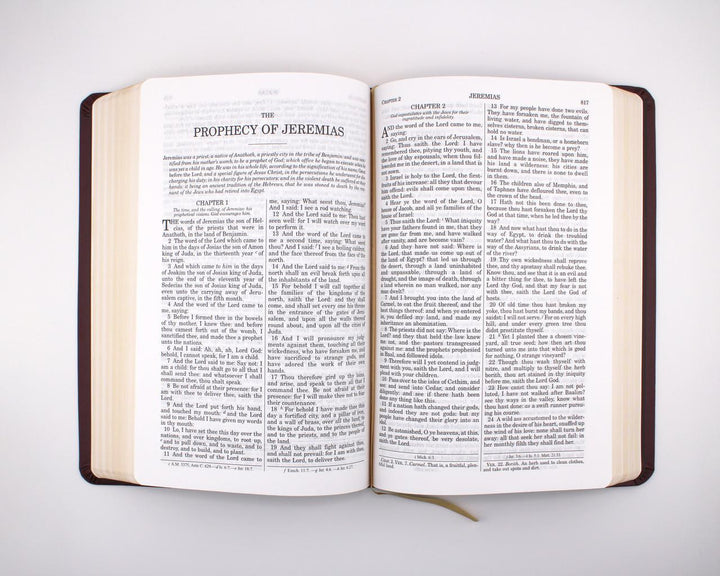 Douay-Rheims Bible: Burgundy