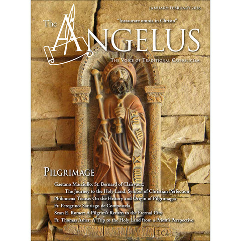 Angelus January February 2026  Pilgrimage