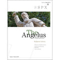 Angelus January - February 2013