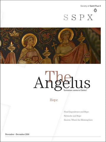 Angelus November - December 2016 "Hope"
