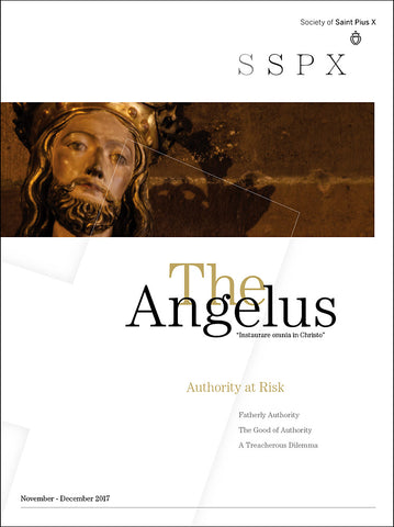 Angelus  November - December 2017 Authority at Risk