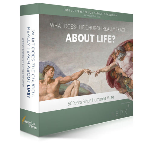 angelus press conference