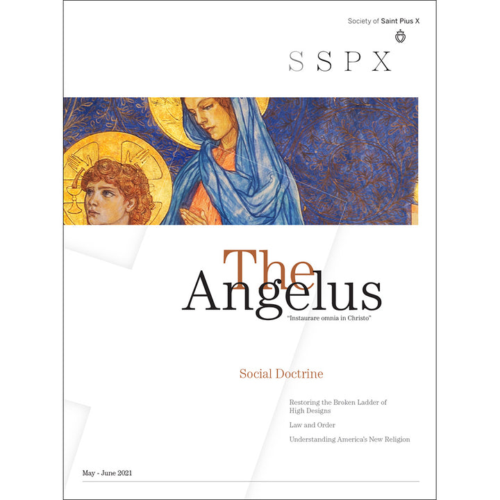 Angelus May June 2021 Social Doctrine