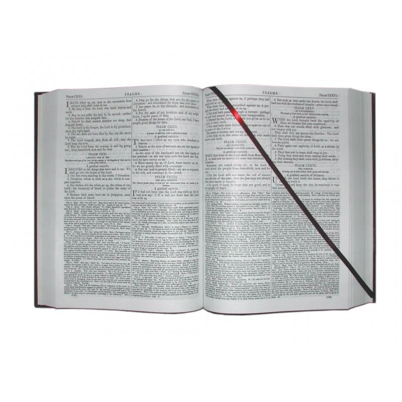 The Haydock Bible
