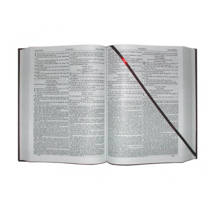 The Haydock Bible