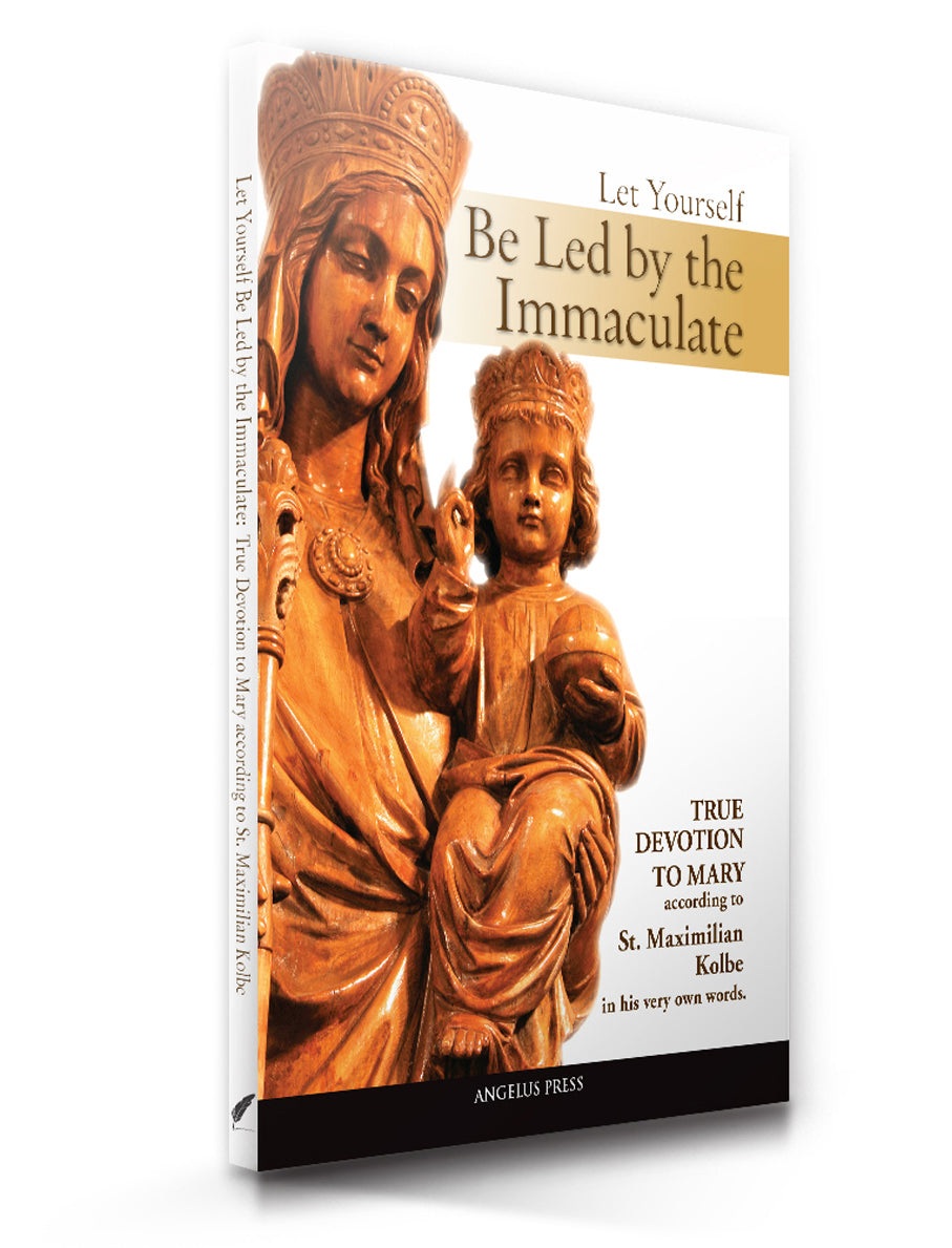 Let Yourself Be Led by the Immaculate
