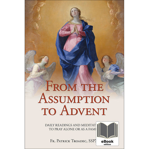 From the Assumption to Advent eBook