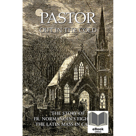 Pastor Out in the Cold eBook