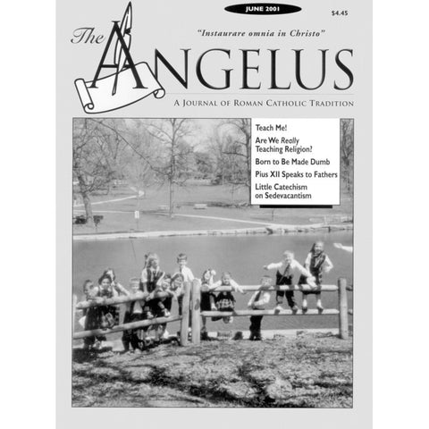 Angelus - June 2001