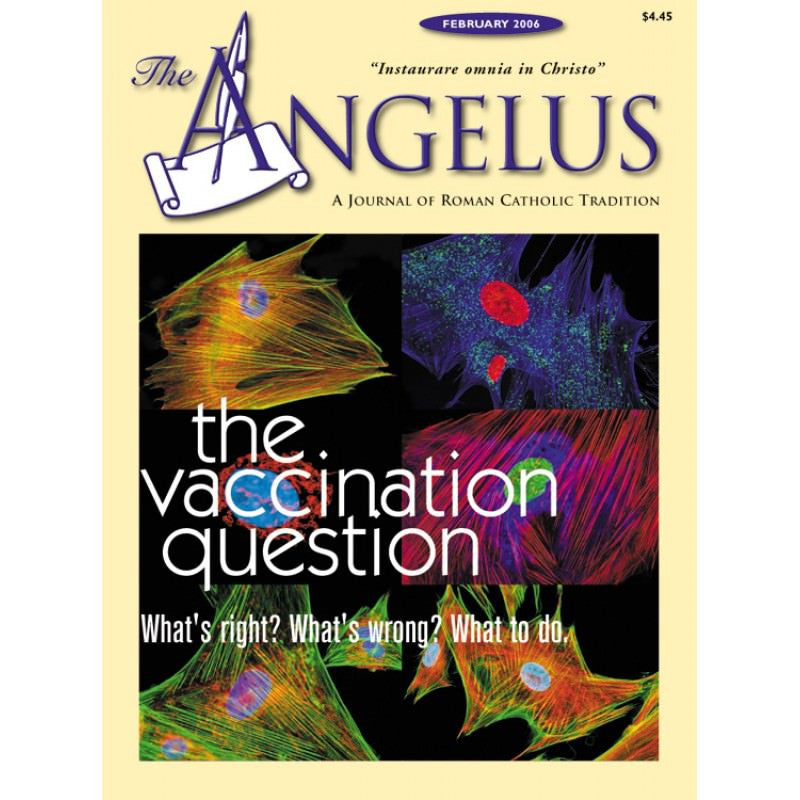 Angelus - February 2006