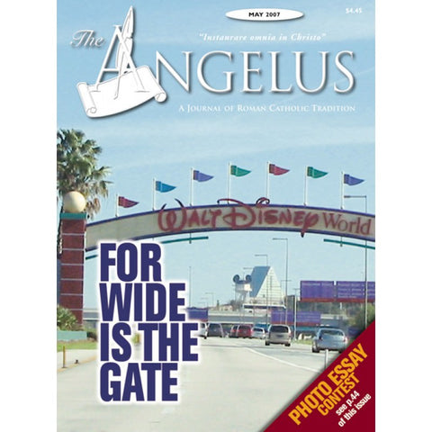 Angelus - May 2007