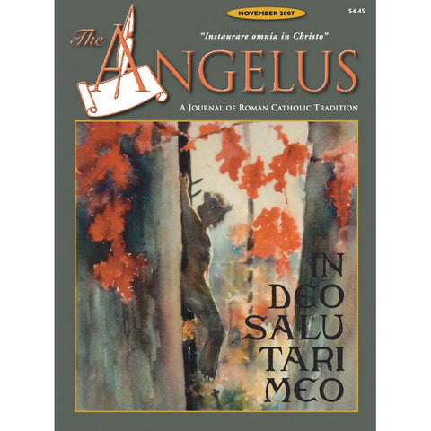 Angelus - November 2007