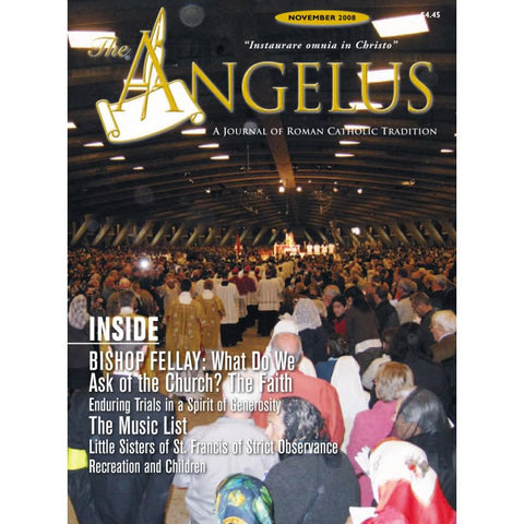 Angelus - November 2008
