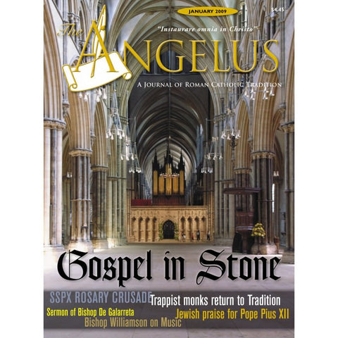 Angelus - January 2009