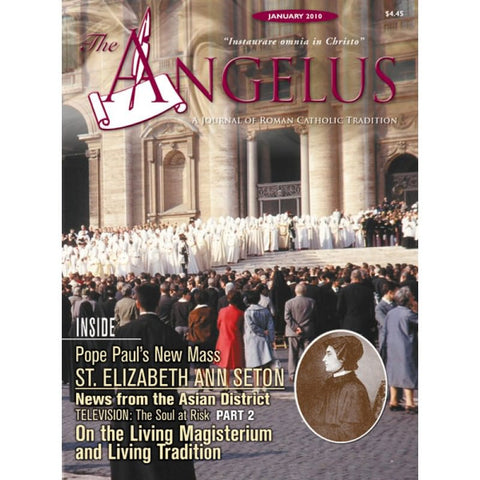 Angelus - January 2010