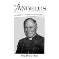 Angelus Nov 1987