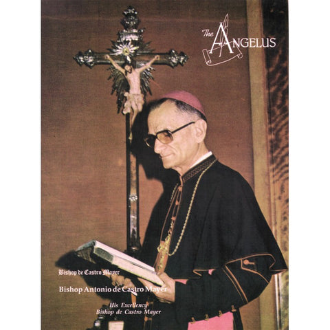 Angelus - July 1991