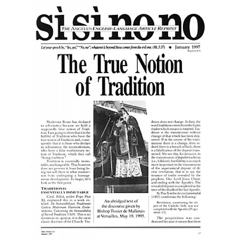 SiSiNoNo 